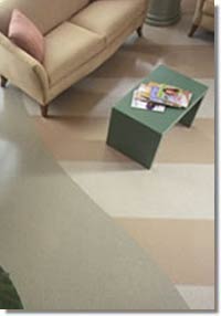 Philadelphia Commercial Carpet Flooring Contractor