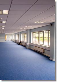 Philadelphia Commercial Carpet Flooring Contractor